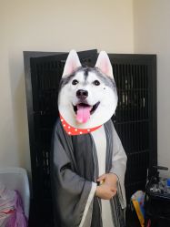 -盘子女人坊古装写真摄影(天津总店)