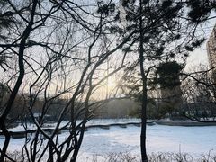 -青城公园