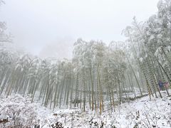 -莫干山风景区