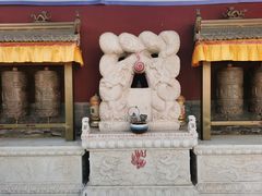 -大召无量寺