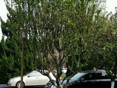-南京钟山宾馆(江苏省会议中心)