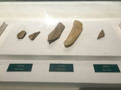 景点-王府井古人类文化遗址博物馆