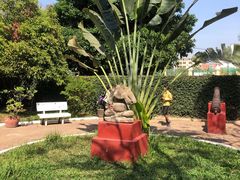 -柬埔寨国家博物馆