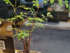 -竹里馆 ·茶食(奥体店)