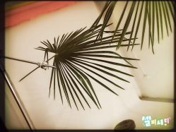 点击看大图 -onlygirl摄影美学馆高端定制(江滩店)