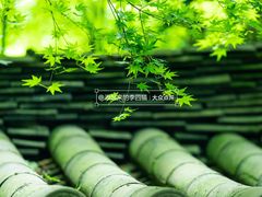 -灵隐飞来峰景区