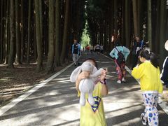 -武陵山森林公园