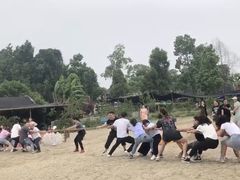 -秀丽东方