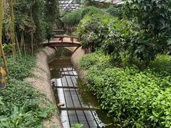 -呀路古热带植物园