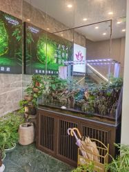 -阅年轻·AI家庭健康体质调理