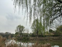 -白鹭湾湿地公园