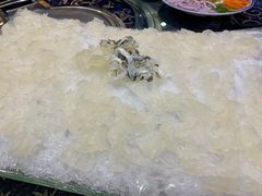 传统海鲩鱼生-祈胜邨•顺德鱼生•顺德菜(容桂店)
