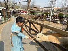 -静之湖湖畔餐厅