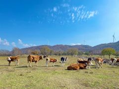 -塞罕坝国家级自然保护区