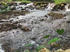 -林丰温泉度假山庄
