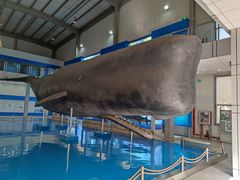 -上海海洋大学鱼文化博物馆(军工路校区)