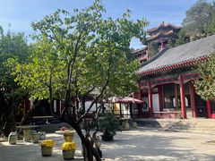 -宫事颐庭·老佛爷贵寿下午茶(颐和园店)