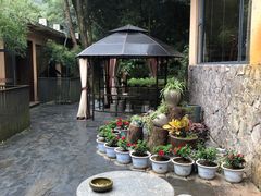 -天怡·鱼工厂(梅溪湖店)