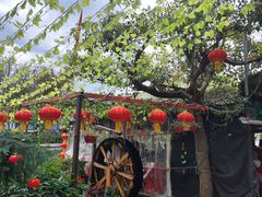 -晓琦农家菜馆·地道农家菜