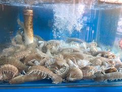 -老东镇啤酒屋海鲜加工·蒸汽海鲜·海鲜烧烤(台东店)