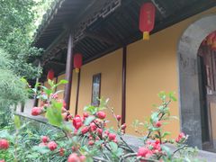 -龙华寺