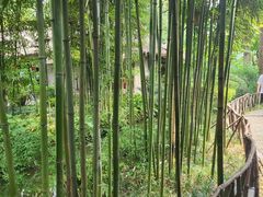 -成都杜甫草堂博物馆