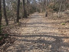 -紫金山山顶公园