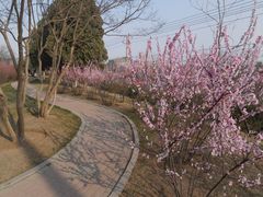 景点-甘井子公园