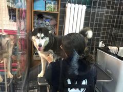 -Goku PET SHOP宠物视觉生活馆(双井店)