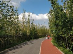 -上海长兴岛郊野公园