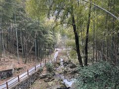 -藏龙百瀑风景区