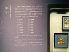-四川大学博物馆