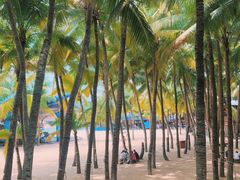 -海南分界洲岛旅游区