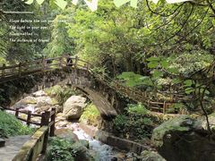 -西岭雪山大飞水景区