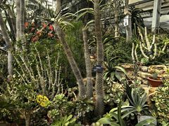 -国家植物园南园