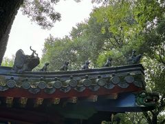 -灵谷景区