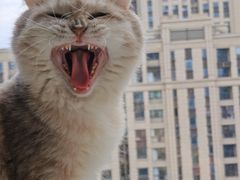 -笑云开汤包店(网巾市店)