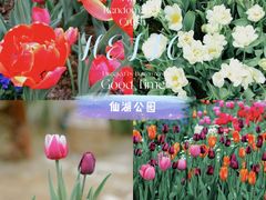 -深圳市中科院仙湖植物园