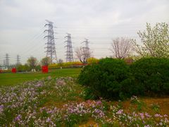 -天津东丽湖风景区