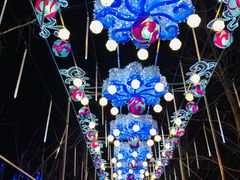 -金城公园
