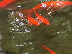 -山乡农家院(海淀区西北旺店)