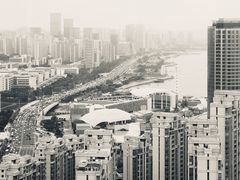 -柴犬小屋·柴餐厅·狗咖食堂(金鼎广场店)