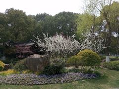 -范蠡湖公园