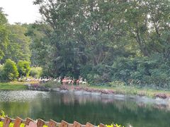 -广州长隆飞鸟乐园