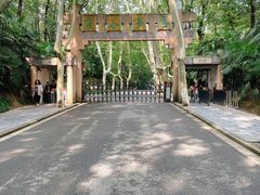 -灵谷景区
