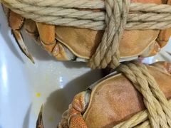 -阳澄湖大闸蟹·琼灵阁牌品牌连锁(吴中总店)