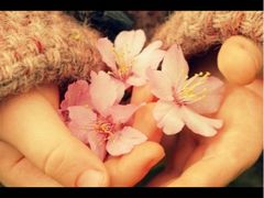iphone_upload_pic-潘太师炸鸡腿(中茵海华广场店)