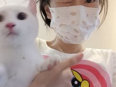 -南京Hallo宠物乐园·哈罗犬舍·柴犬繁育基地