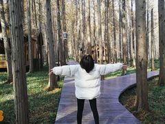 -黄海国家森林公园