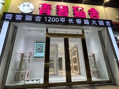 -青奢宠物·青奢猫舍